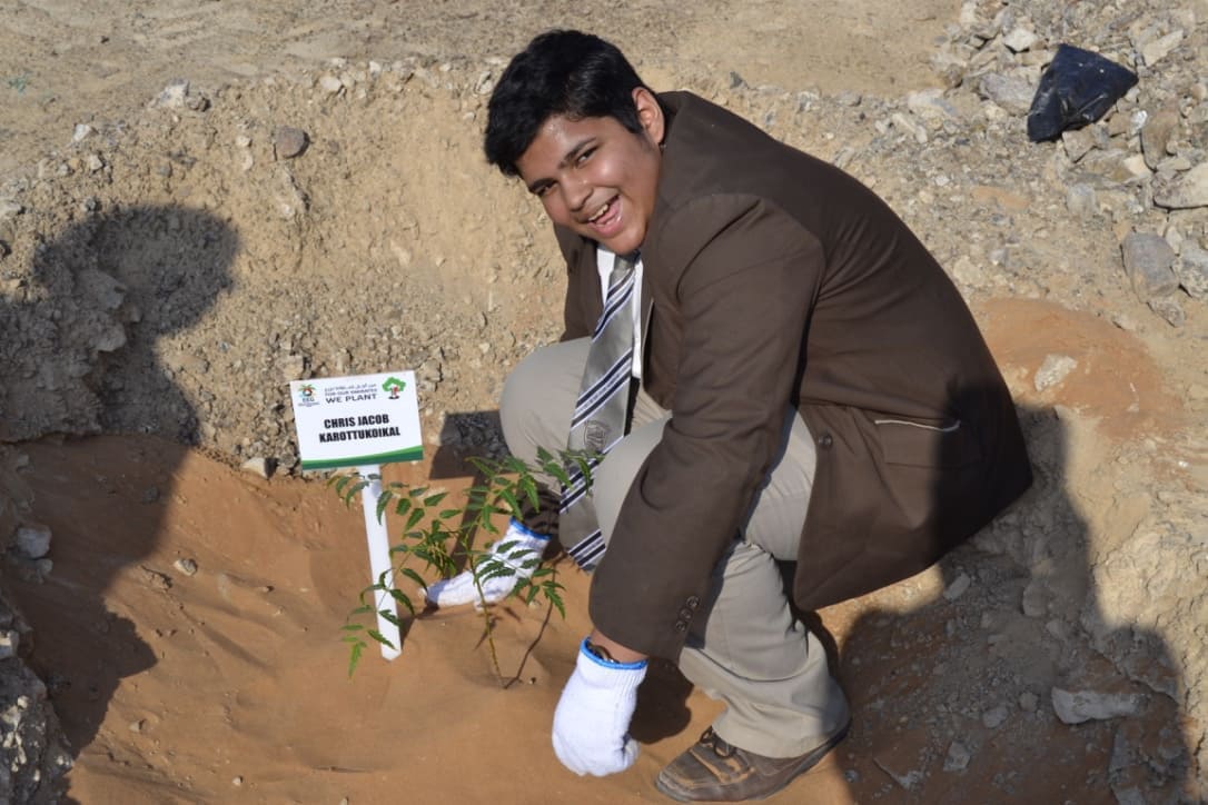 Environmental Efforts